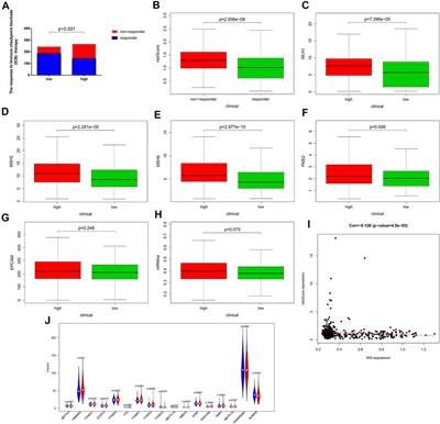 Development of an Oxidative Phosphorylation-Related and Immune Microenvironment Prognostic Signature in Uterine Corpus Endometrial Carcinoma